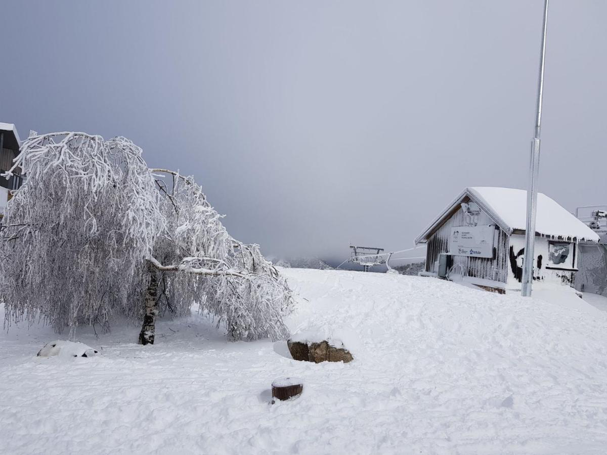 Peak 105 Lejlighed Mount Buller Eksteriør billede